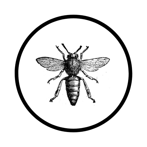 Devon Bees
